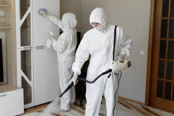 Best Mold Removal Specialists  in Rutherfordton, NC